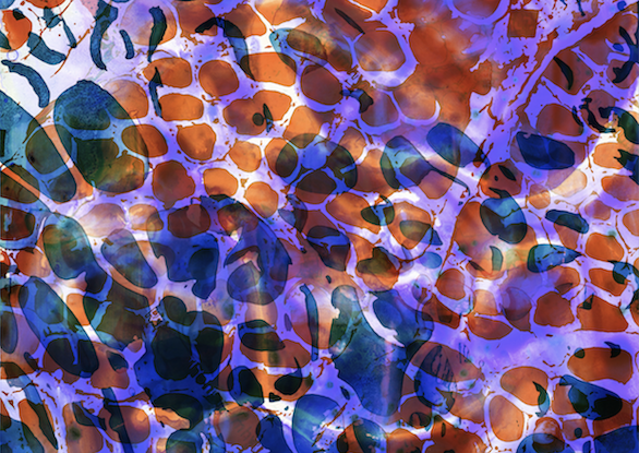 Brüten wir die Welt neu aus